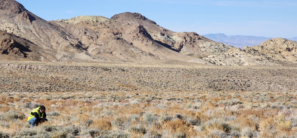 The future site of the planned Rhyolite Ridge lithium-boron mine.