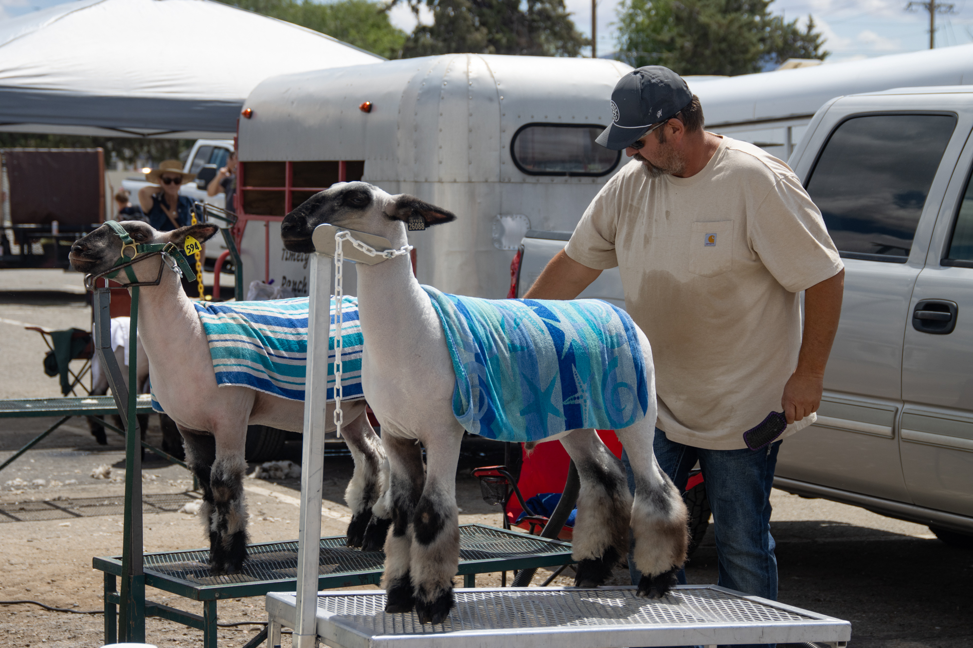 Why are there 2 state fairs in Nevada?