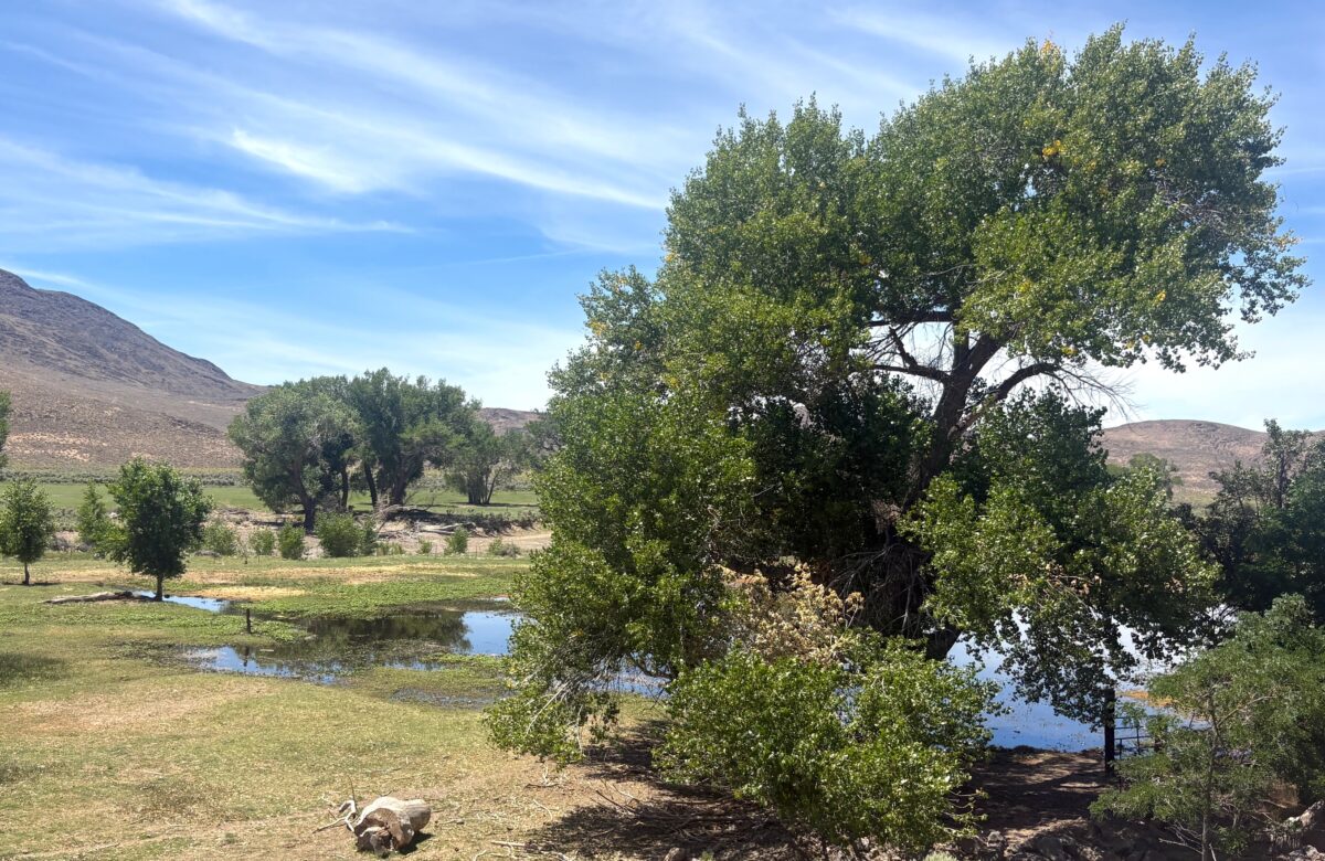 Nevada's newest state park was once a'divorce ranch' and Army vehicle testing site