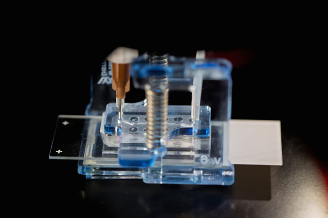 Lung-on-a-chip.