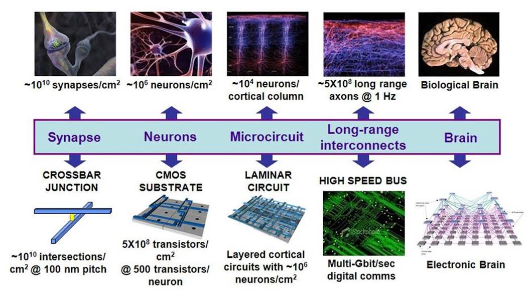 Does Artificial Intelligence Require Specialized Processors? - The