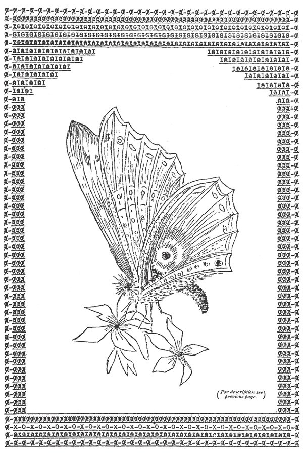 Butterfly typewriterart22 via brainpickings dot org.