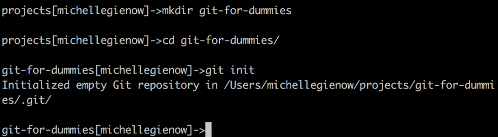 gitPanic - Git 101 - DEV Community