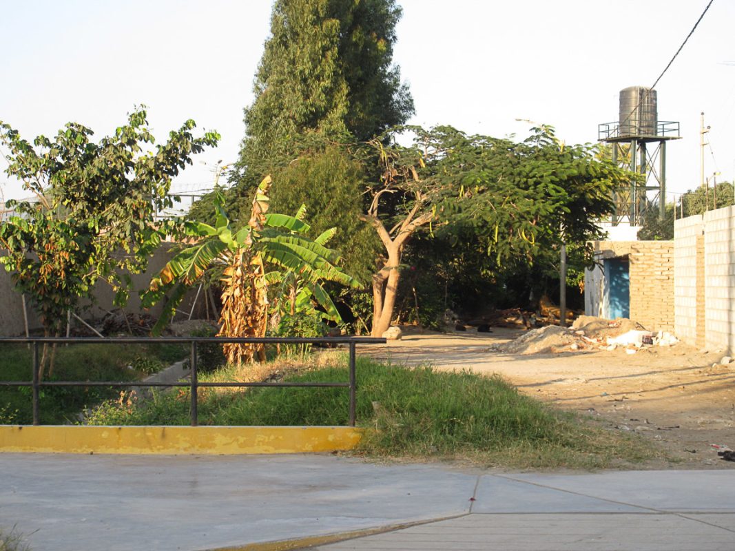 Prolongac  Progreso