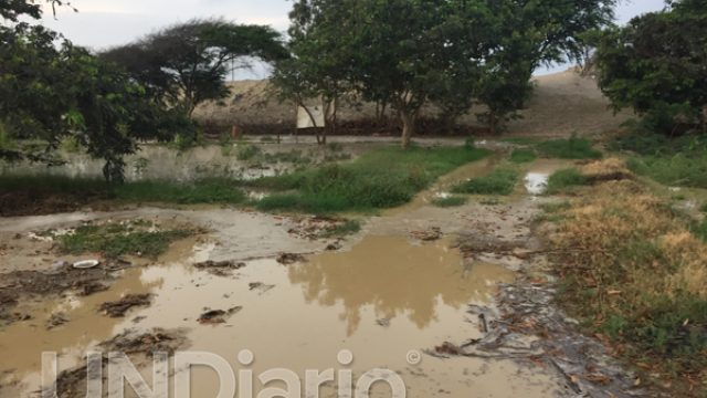 Duro