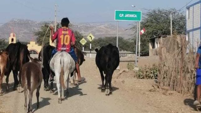 Camino Vecinal 1