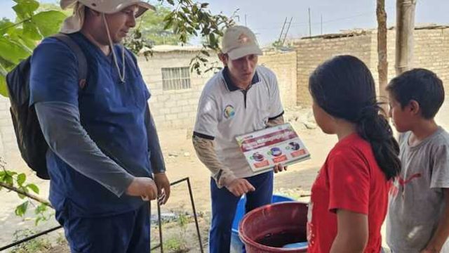 Dengue