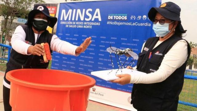 Dengue minsa 2022