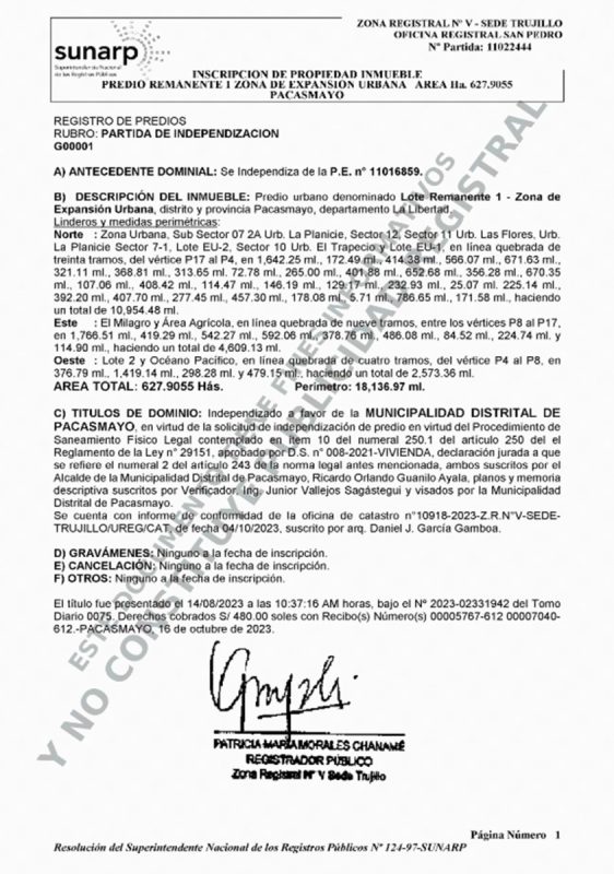 Partida paca