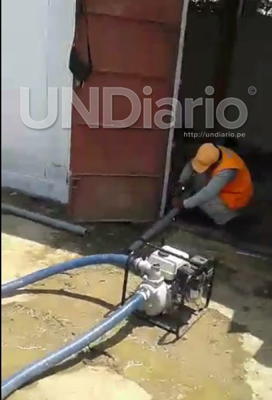 Cdd4