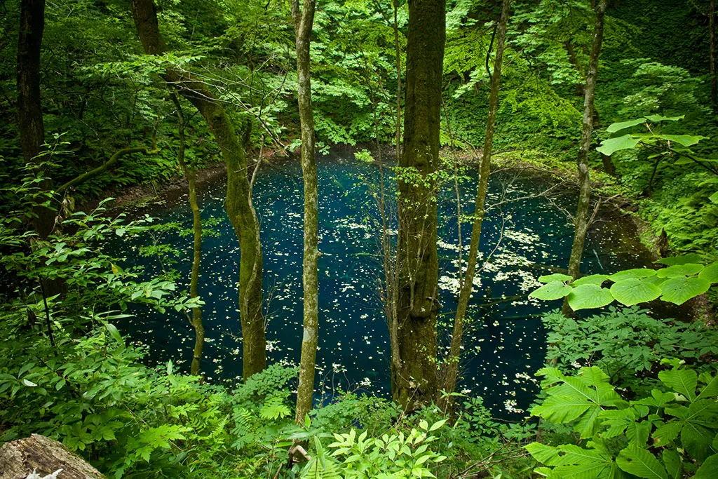 Juniko Lakes