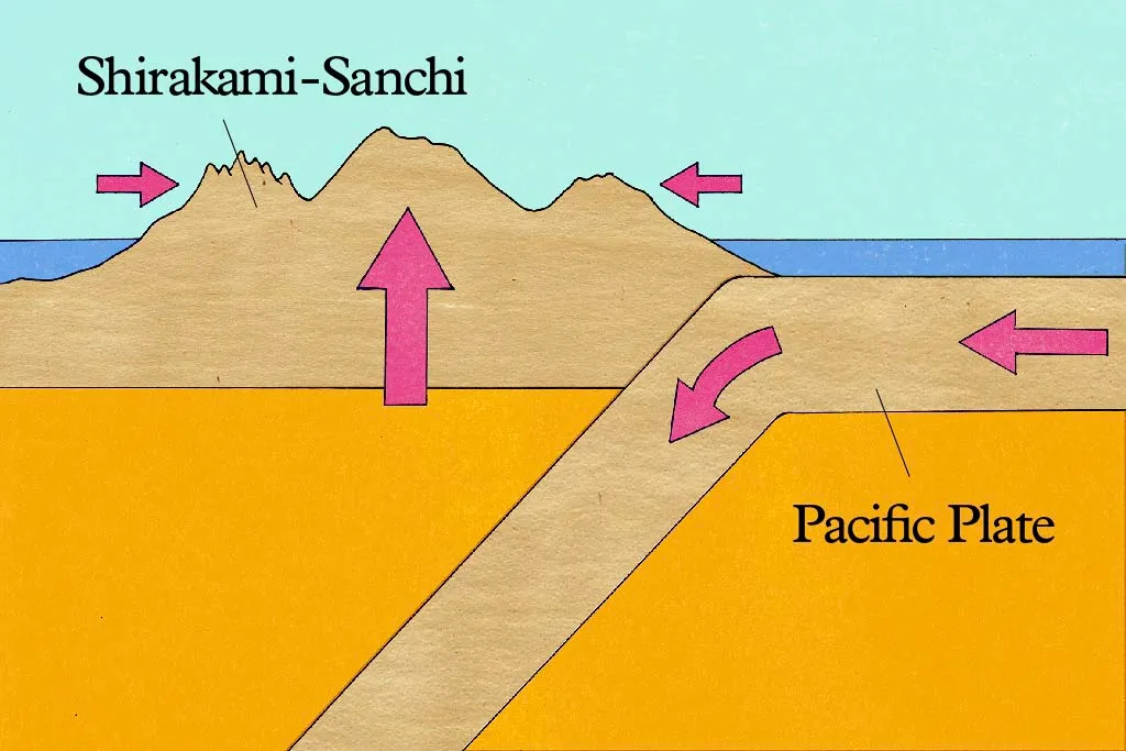 1.7 million years ago—A rugged landscape is formed