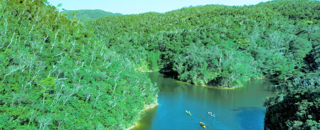 Paddle a canoe to Yanbaru Forest Tour secluded Okinawa for summer fun