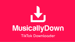 Musicallydown, 워터마크 없이 TikTok 비디오를 다운로드하는 솔루션