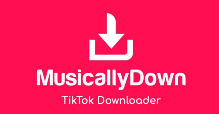 Musicallydown, Solution for Downloading Tiktok Videos Without Watermark!