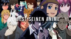 Best Seinen Anime 2023, Adults Only!