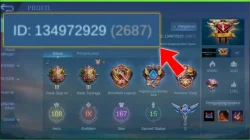 How to Check ID ML Without Logging In, No Hassle
