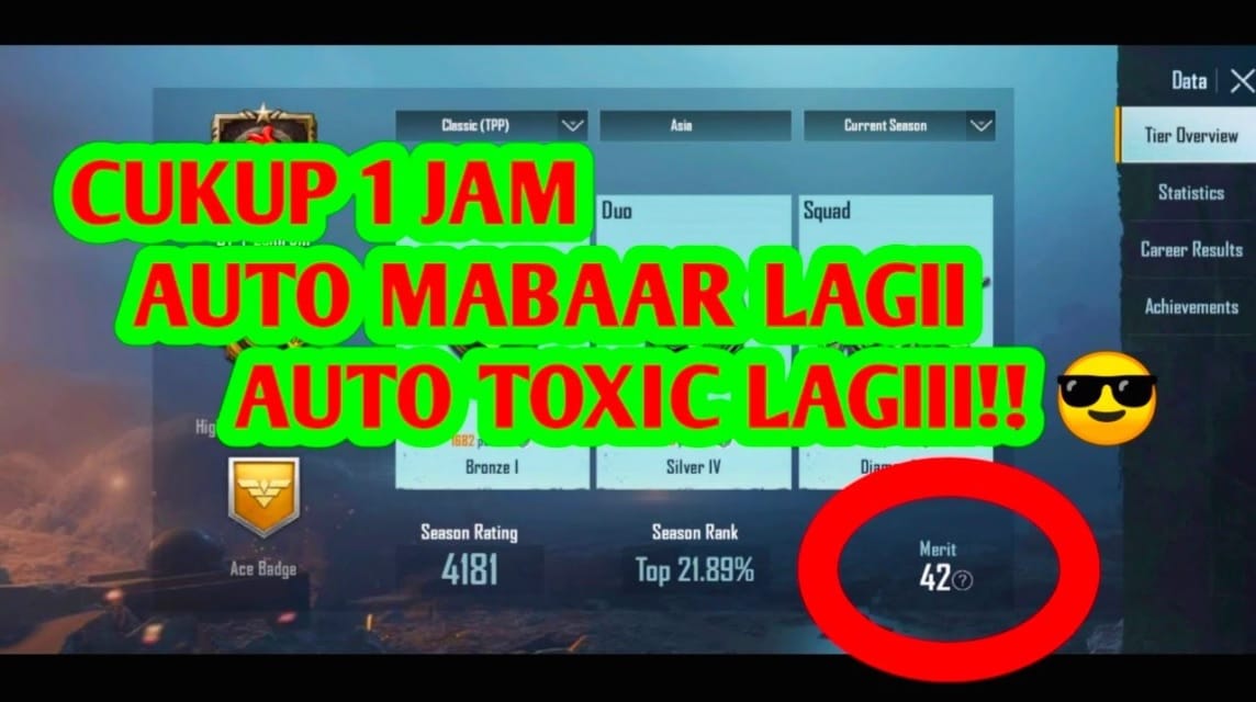 Merit PUBG