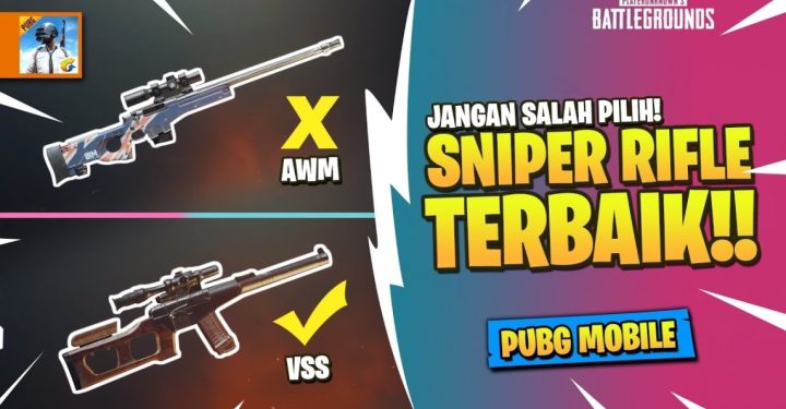 Complete List of PUBG 2023 Sniper Weapons