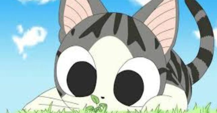 Empfehlungen für Katzen-Anime im Jahr 2023, die Sie sich unbedingt ansehen sollten