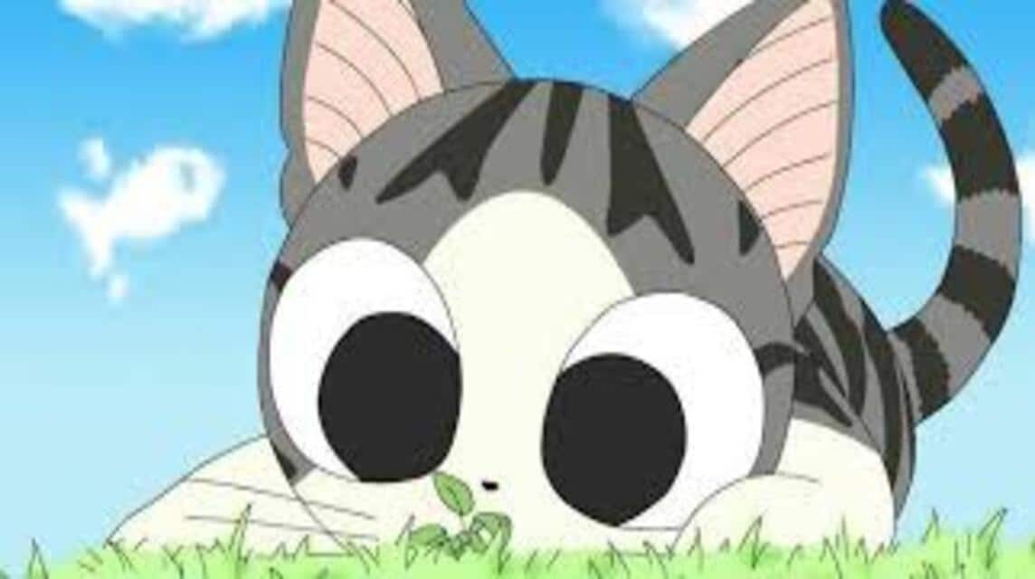 33 cutest anime cats: most popular kitties from films and shows 