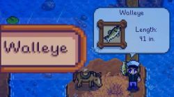 How to Catch Walleye in Stardew Valley!