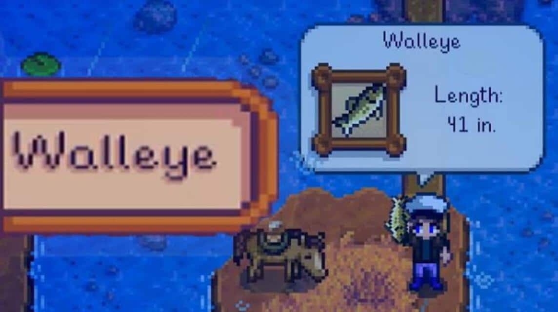 walleye stardew (1)