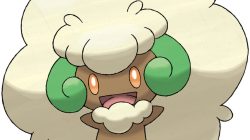 Whimsicott Quirk：独特的高速神奇宝贝