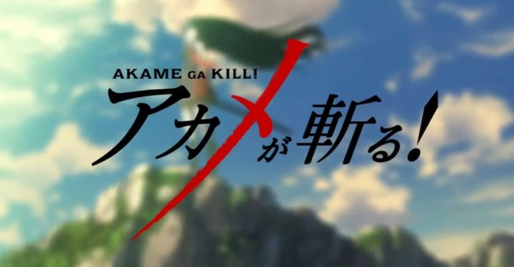 12 Karakter Terpopuler di Anime Akame Ga Kill! Ada Favoritmu?