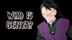 Genya Demon Slayer: Lebensgeschichte und einzigartige Fakten