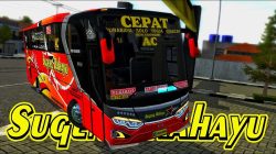 Use the Sugeng Rahayu Livery in the Bussid Game, It's Even Cooler!