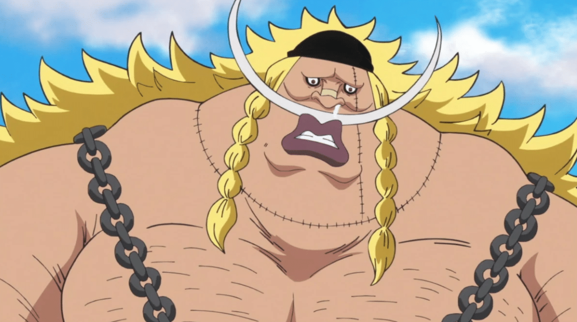 Shichibukai, One Piece Wiki