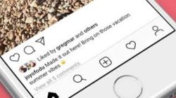 Cara Melihat Postingan yang Disukai di Instagram