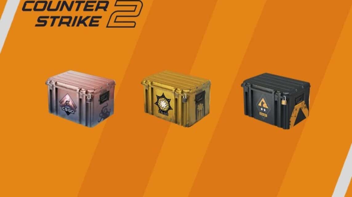 Counter Strike 2 Case