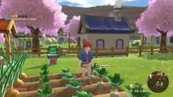 Nintendo Switch 上的《牧场物语》游戏列表，快来玩吧！