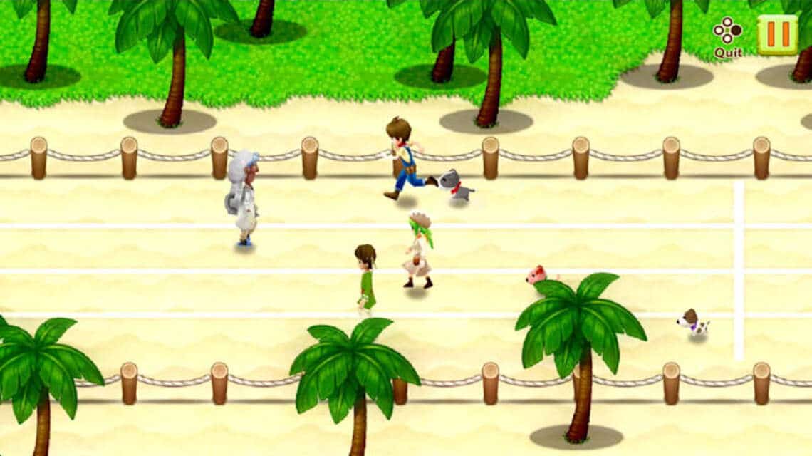 Harvest Moon-Spiel – Light of Hope-Gameplay