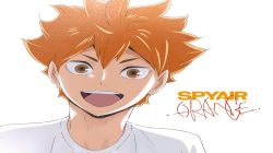 7 interessante Fakten über Hinata Shoyo aus dem Anime Haikyu!!