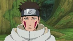 5 Fakta Menarik Kiba Inuzuka, Ninja Pengendali Anjing!