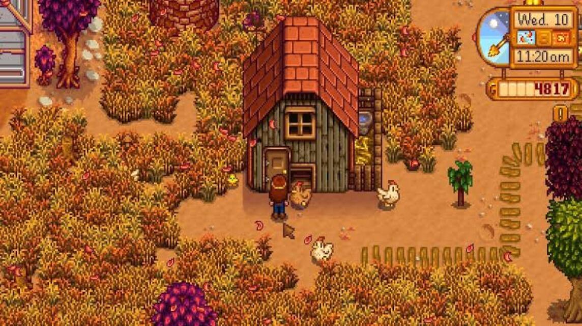 Coop Stardew Valley (1)