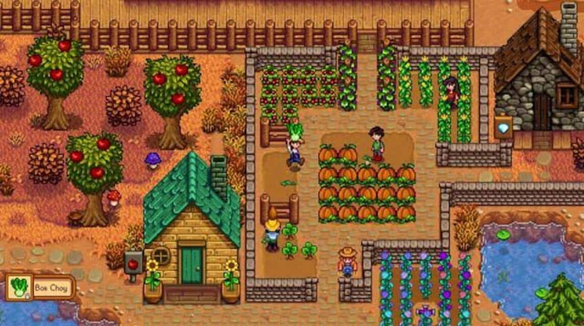 Coop Stardew Valley (2)