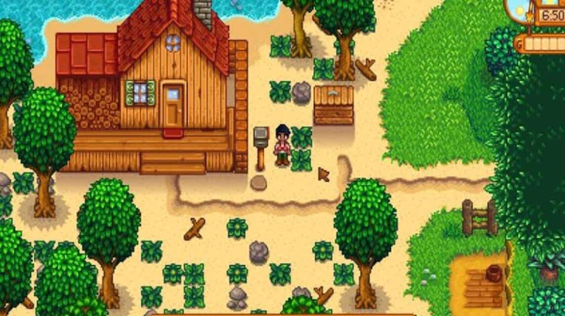 Coop Stardew Valley (4)