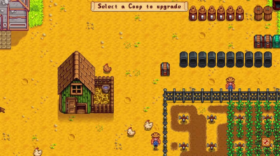 Coop Stardew Valley (6)