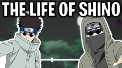 Life Story, Strengths and Interesting Facts about Shino Aburame