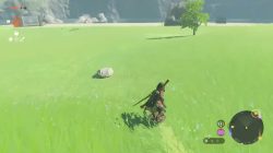 Zelda: Tears of Kingdom에서 서핑을 보호하는 방법