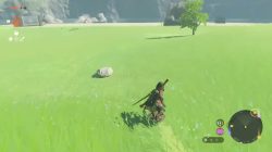 How to Shield Surf in Zelda: Tears of Kingdom