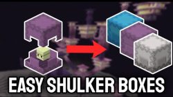 Minecraft Shulker Box, A Box with a Million Benefits!