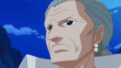 Unique Facts about One Piece Tsuru, You Must Know!