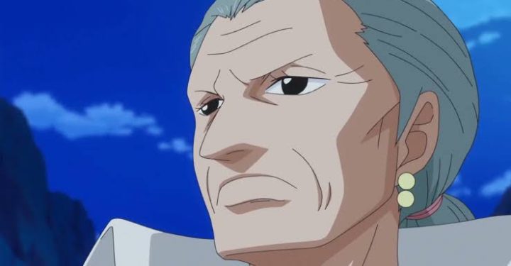 Unique Facts about One Piece Tsuru, You Must Know!