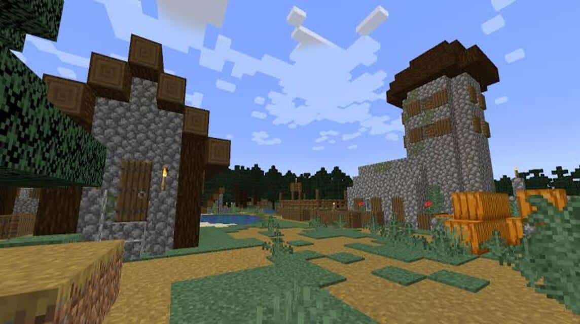 seed village minecraft (2)