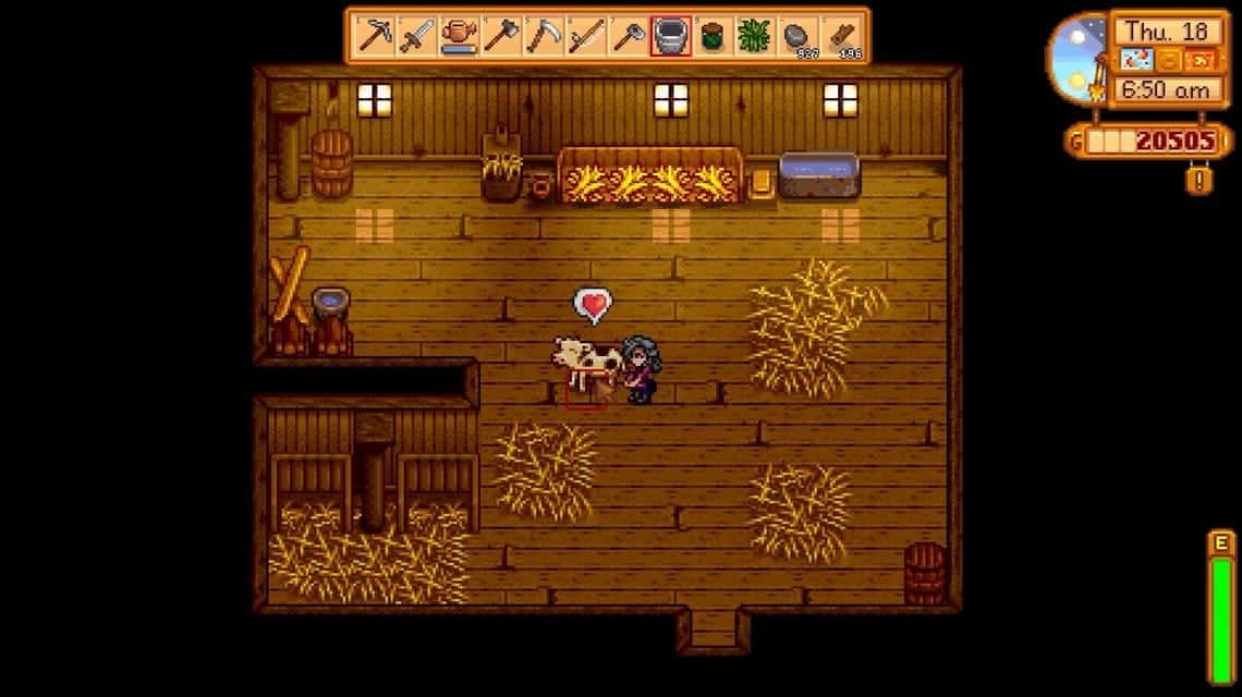 Scheune Stardew Valley